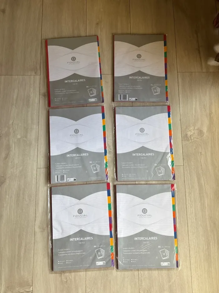 Lot de 6 intercalaires