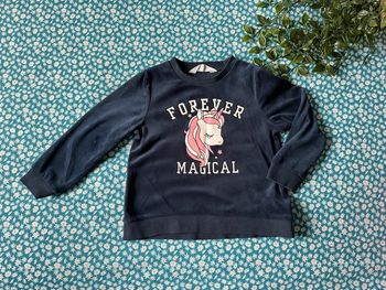 Pull polaire licorne