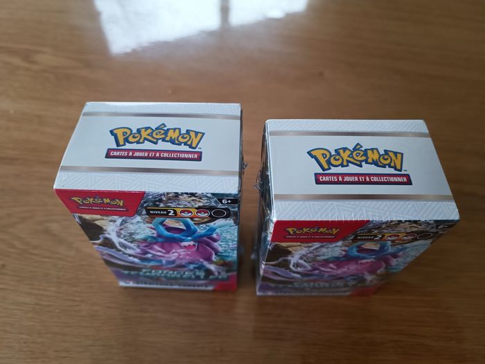 Lot de 2 kits AP Pokémon EV5 Forces temporelles - photo numéro 5