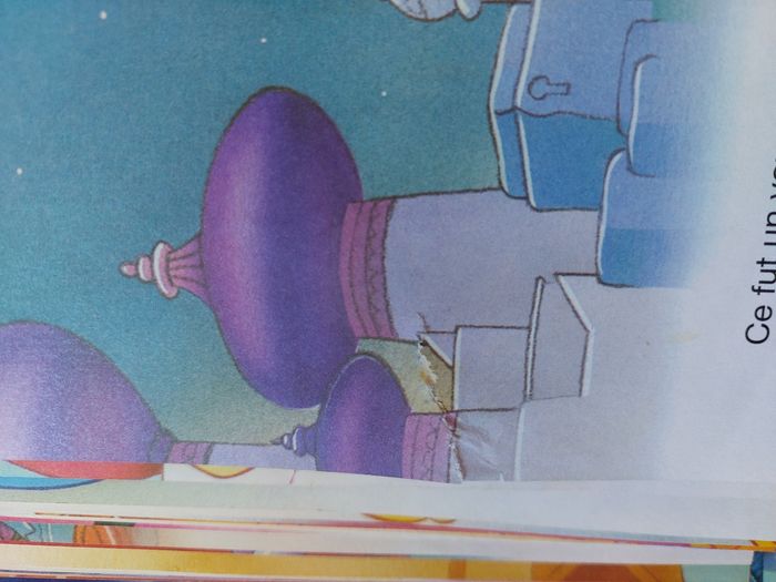 Livres - photo numéro 2