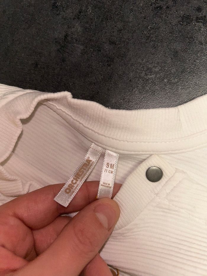 Pull koala - photo numéro 4