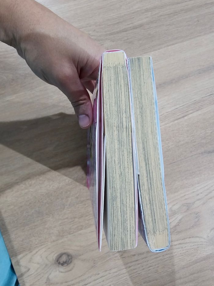 2 manga stitch minnie magical dance livre BD - photo numéro 5