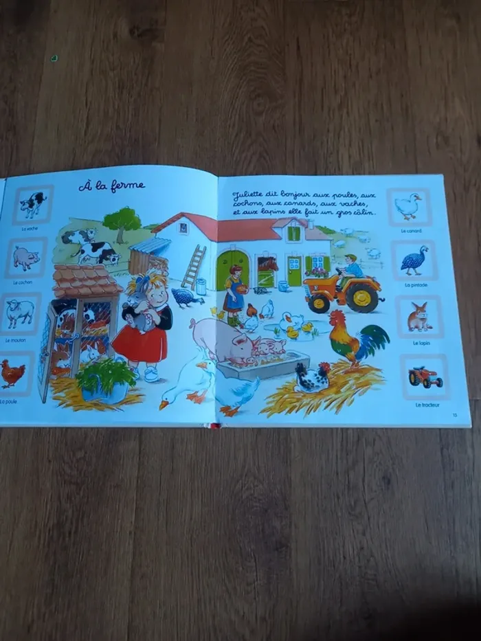 Grand livre l'imagier de Juliette - photo numéro 5