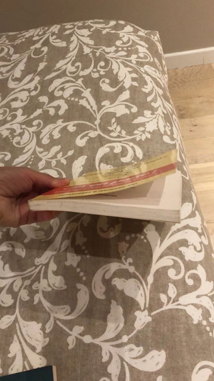 Livre chronique d’une recherche d’emploi exemplaire - photo numéro 5