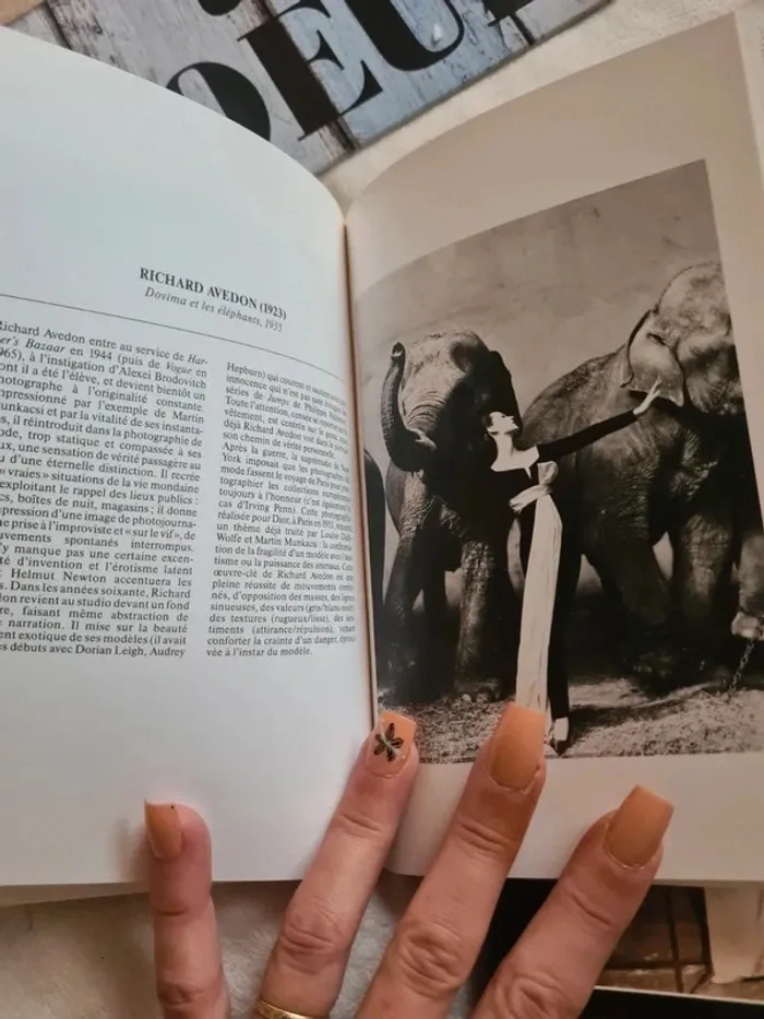 Coffret livres Histoire de voir - photo numéro 12