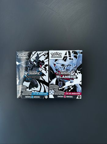 2 Bundles Pokemons EV10.5 Fourdre Noir & Flamme Blanche