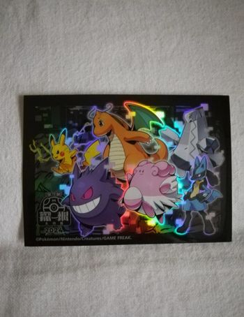 1 sleeve pokemon