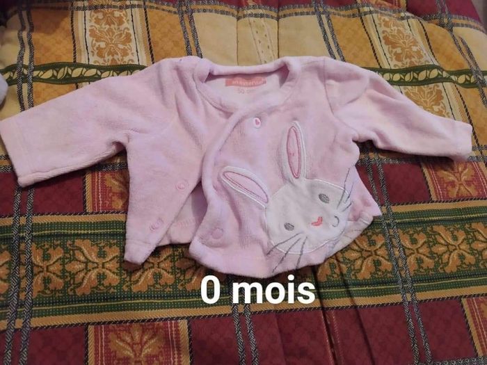 Il y a du 0 mois - photo numéro 7