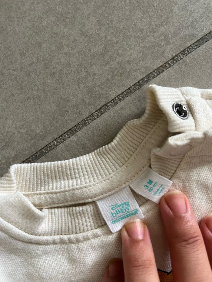 Pull roi lion - photo numéro 2