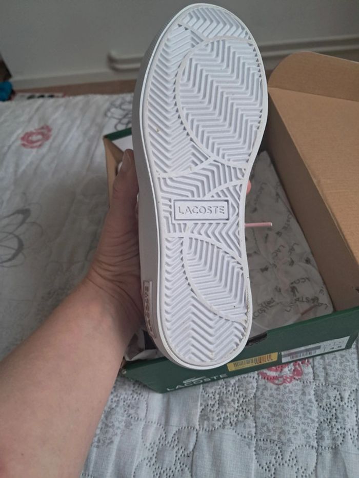 Basket neuve lacoste 37,5 - photo numéro 12
