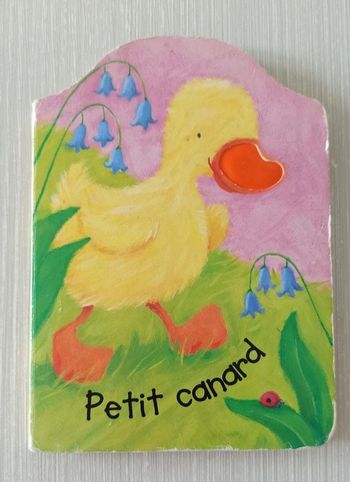 🐣 Livre "Petit canard" de Mélanie Mitchell 🐣