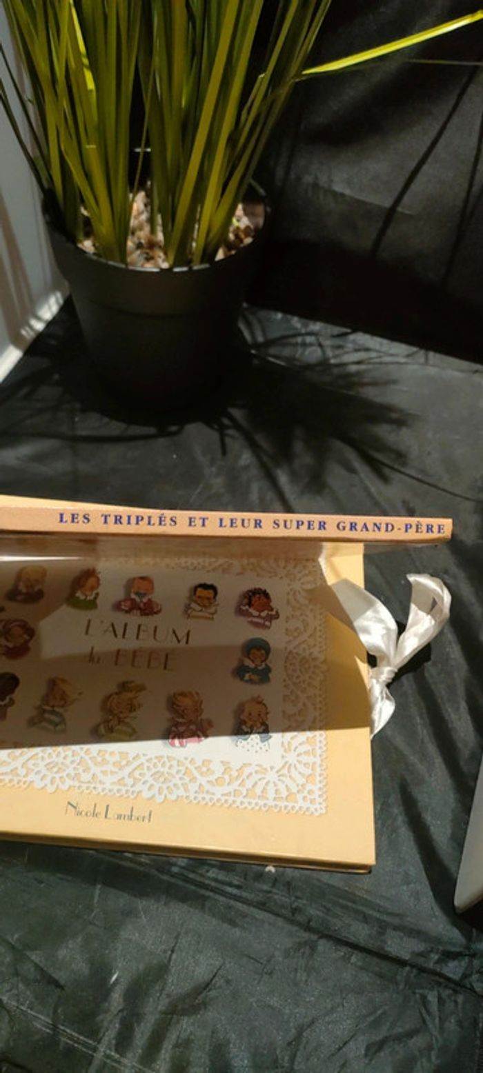 Lot les triples - photo numéro 6