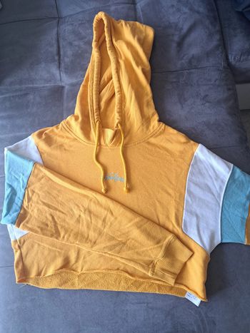Pull hollister