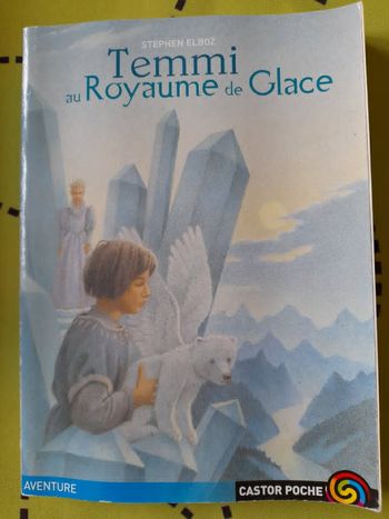 Livre Temmi au Royaume de Glace 