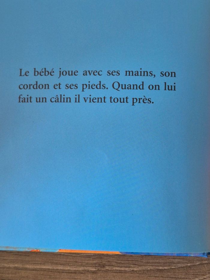 Docteur Dolto - Attendre un petit frère ou une petite sœur - photo numéro 3