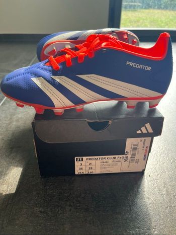 Chaussures de foot Adidas predator