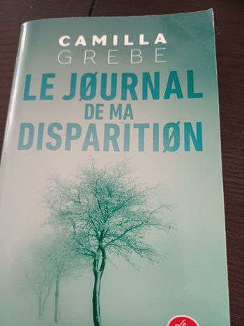 Le journal de ma disparition