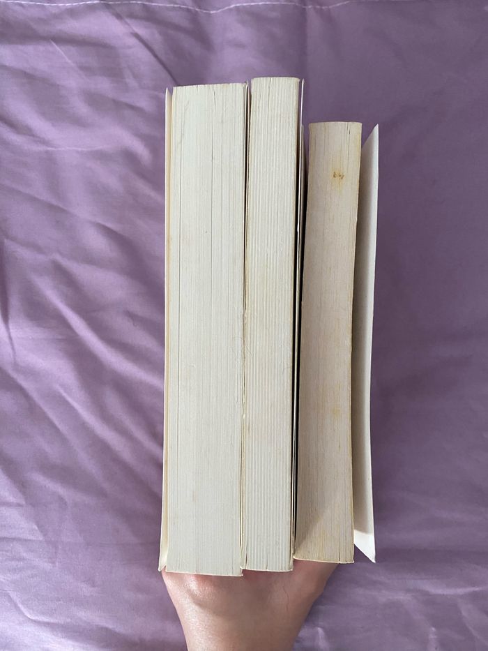 Lot 3 livres - photo numéro 3