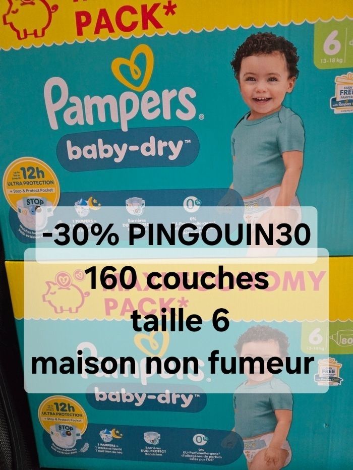 Lot de 2 maxi cartons pampers taille 6