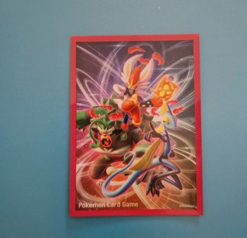 1 sleeve pokemon