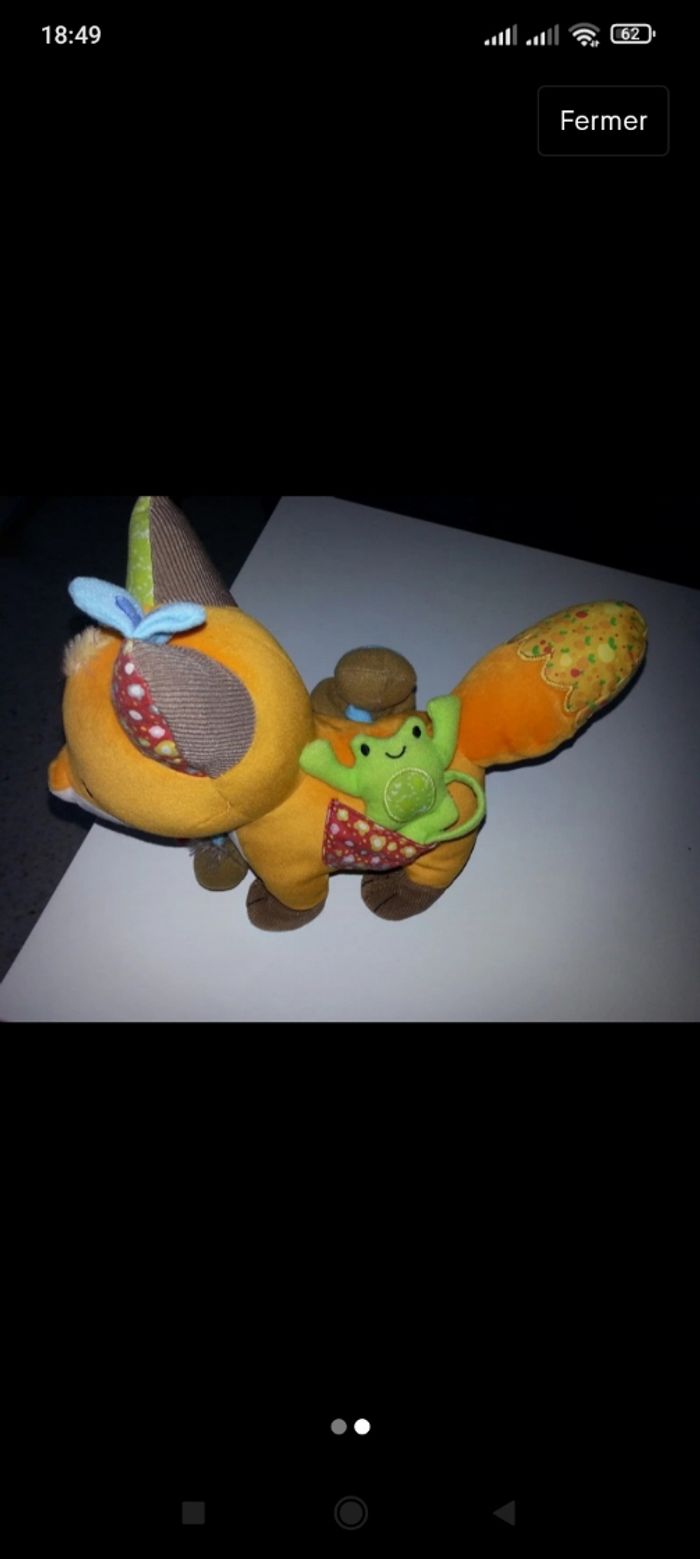 Renard d'activités - photo numéro 2