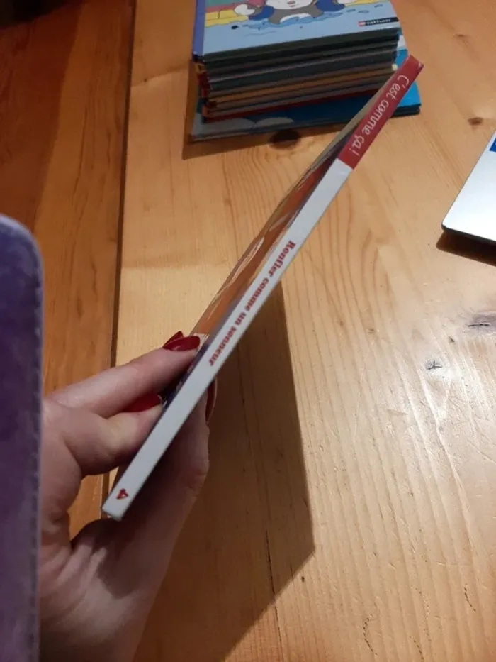 Livre mac do ronfler comme un sonneur neuf - photo numéro 3