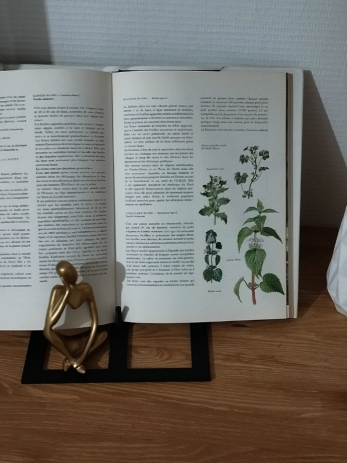 Ouvrage Flore d'Europe édition Gründ 1975 - photo numéro 8