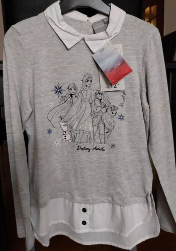 Haut Reine des Neiges.