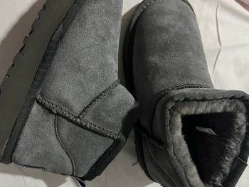 Ugg grise