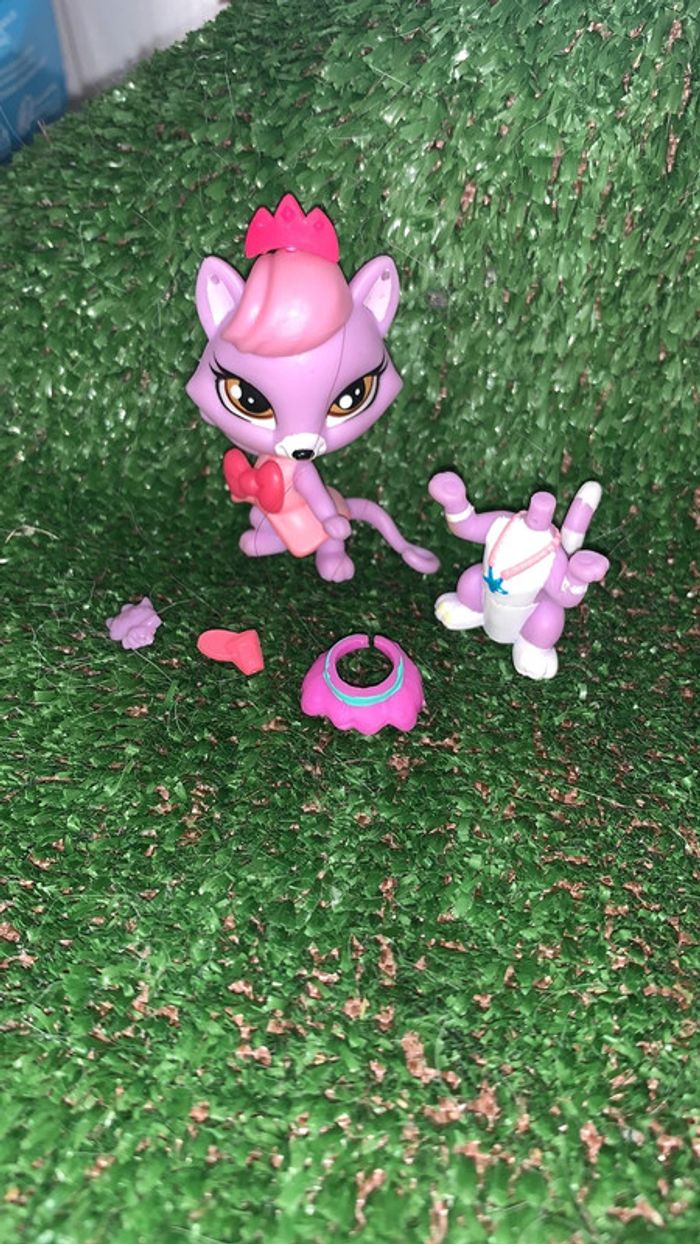 PetSop renard 🦊 rose