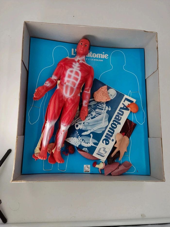 L'anatomie / Corps Humain / 1987 vintage Laffont semble complet voir photos - photo numéro 5