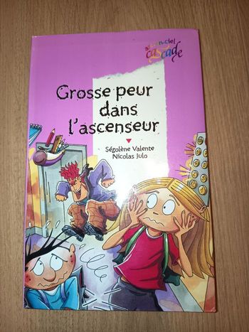 Livre roman enfant, Grosse peur dans l'ascenseur, Éditions Rageot
