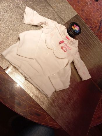 LOT 2 pulls chauds 1 mois, gilet capuche et sweat velour