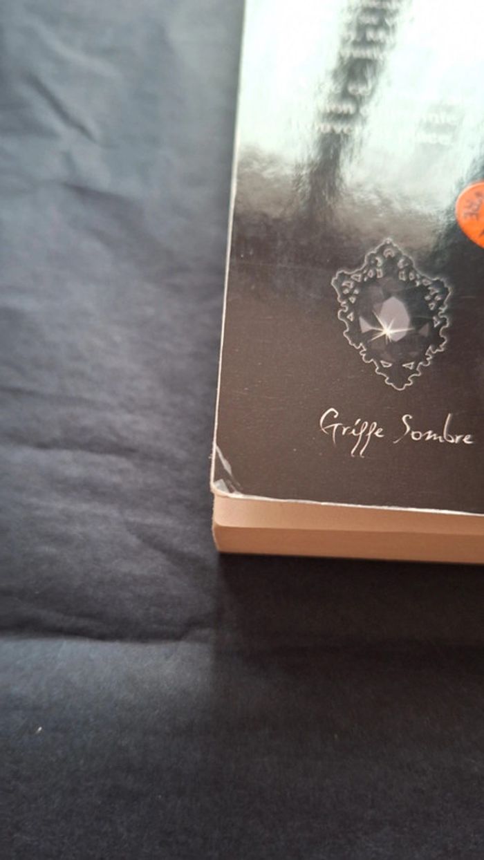 Il neige sur Encelade / Olivier Moyano - photo numéro 6