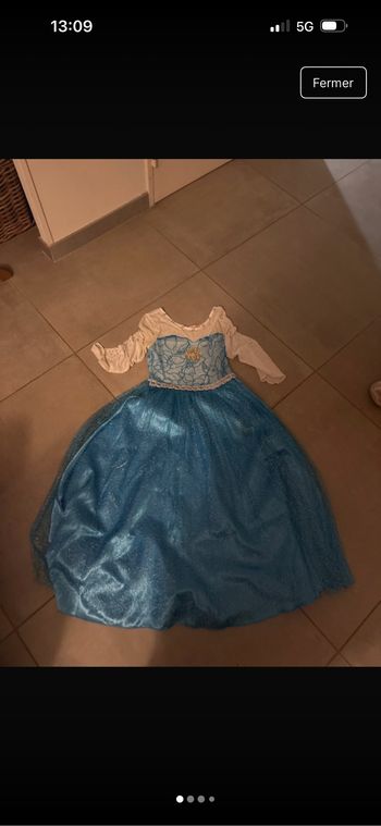 Robe de costume reine des neiges