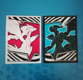 Lot de 2  sleeves pokemon