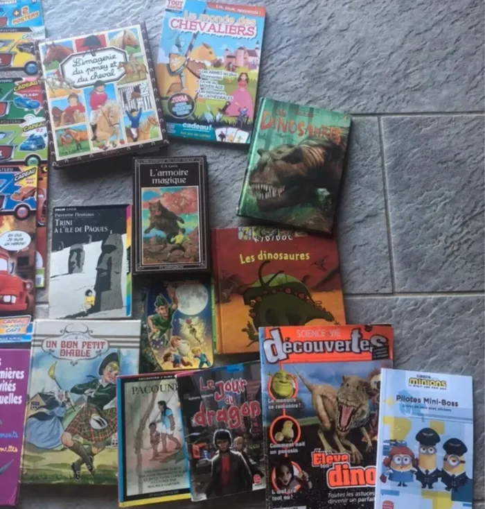 351 - Gros lot magazines livres - photo numéro 2