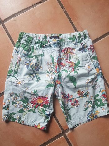Bermuda Tommy Hilfiger