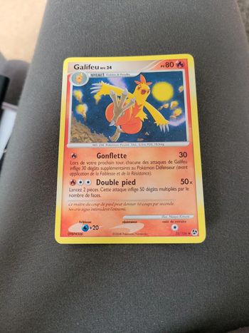Pokémon galifeu niv24