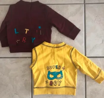 Lot 2 pulls - 6 mois