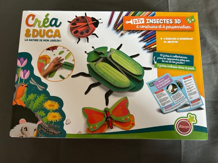 DYI Insectes 3D