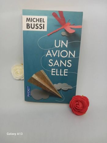 Un avion sans elle