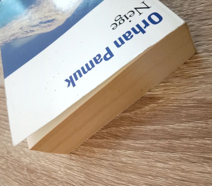 Orhan Pamuk 🪅 Neige - photo numéro 4