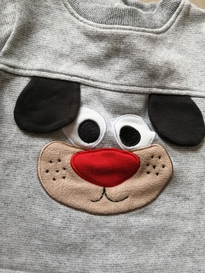 Sweat chien 6 mois - photo numéro 2