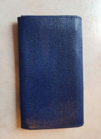 Portefeuille bleu