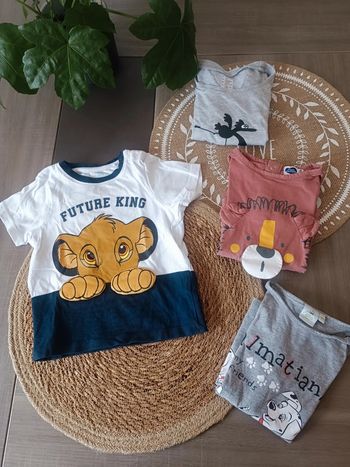 🐼 Lot Tee-shirts taille 18mois