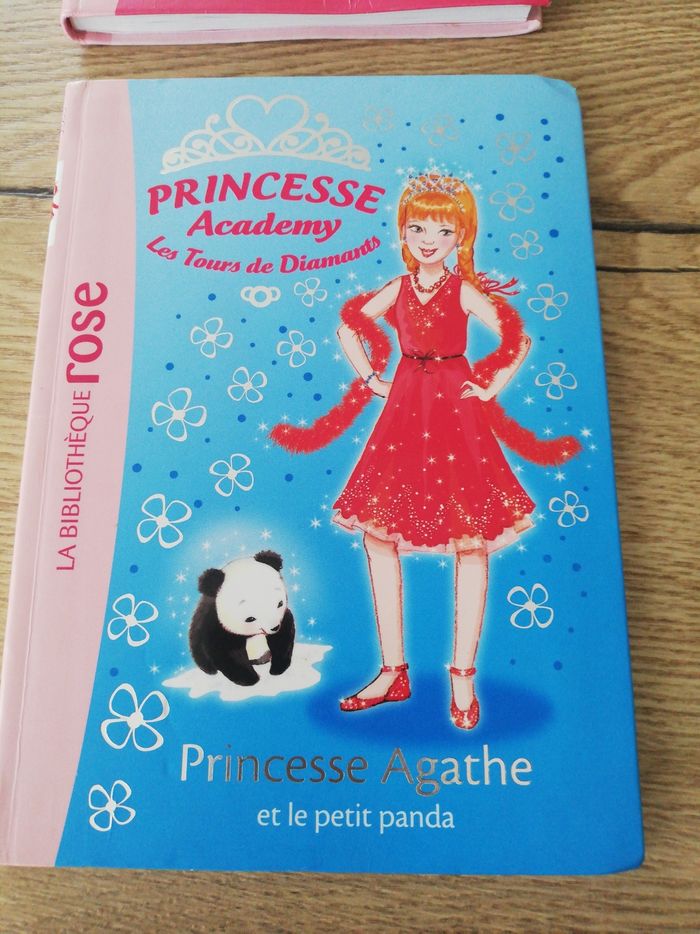 Livre Princesse Academy - photo numéro 2