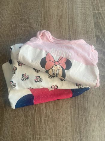 Lot bodys Minnie