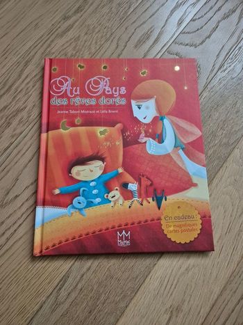 Livre Au pays des rêves dorés, neuf 📚