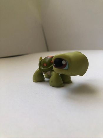 Littlest pet shop tortue ,Lps #008